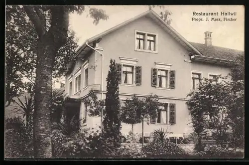AK Beinwil a. See, Restaurant Hallwil J. Merz, Fischer, Gartenansicht