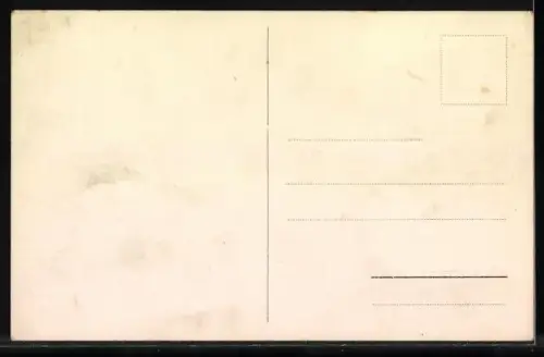 AK Beinwil a. See, Restaurant Hallwil J. Merz, Fischer, Gartenansicht