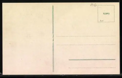 AK Herznach, Gasthof z. Löwen v. E. Müller, Ortsansicht