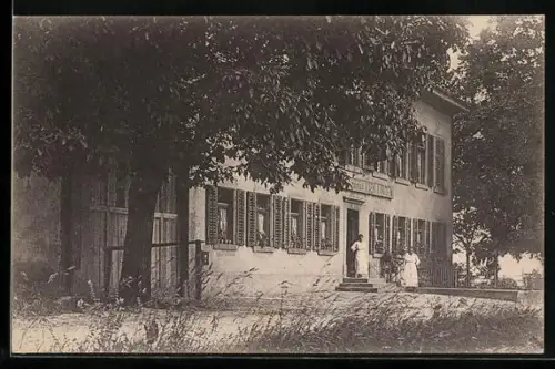 AK Bözberg, Gasthof zu den Vier Linden, Bes. Ed. Wirth