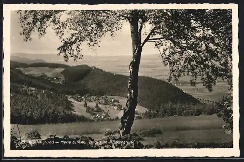 AK Wölfelsgrund, Maria Schnee, Blick zum Mückengrund