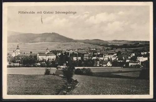 AK Mittelwalde, Gesamtansicht mit Glatzer Schneegebirge