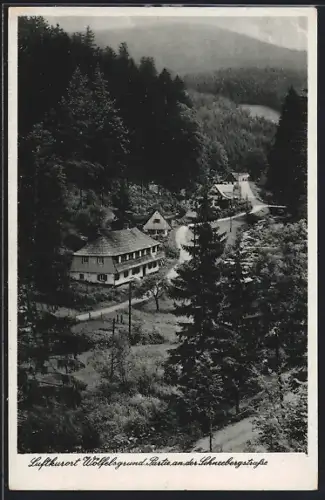 AK Wölfelsgrund, Partie an der Schneebergstrasse