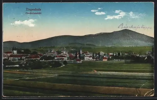 AK Ziegenhals, Totalansicht gegen die Berge