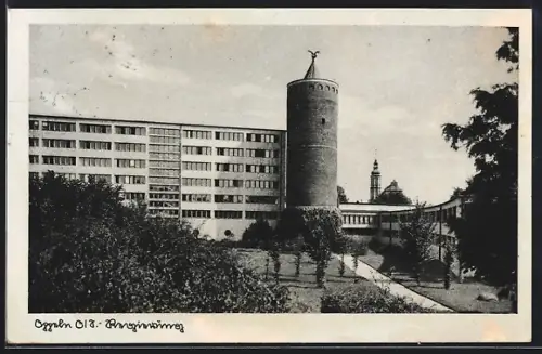 AK Oppeln, Regierung