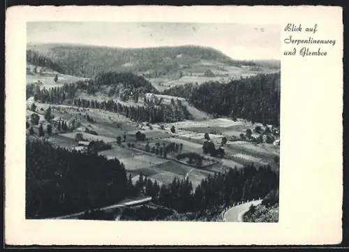 AK Weichsel /OS, Blick auf Serpentinenweg und Glembce