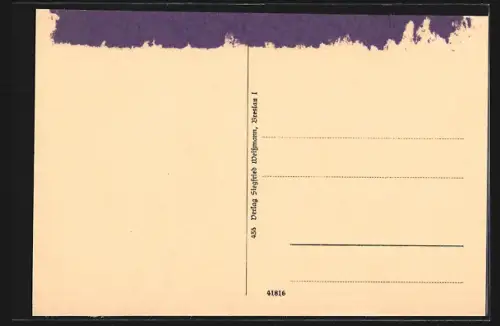 AK Breslau, Liebichshöhe, Fontäne
