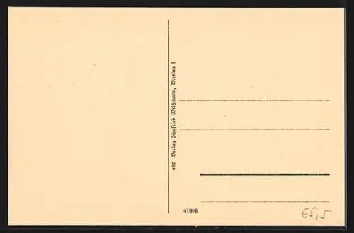 AK Breslau, St. Josef-Krankenhaus mit Noviziat, Raddampfer am Ufer