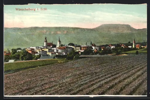 AK Wünschelburg i. Schl., Ortsansicht von der Feldflur aus