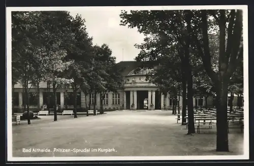 AK Bad Altheide, Prinzen-Sprudel im Kurpark