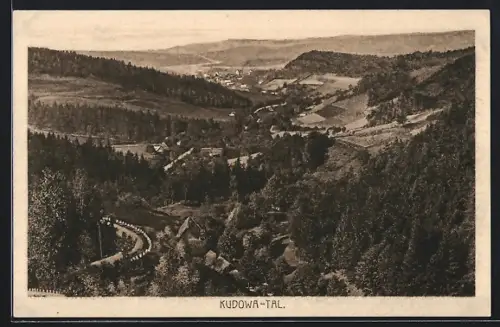 AK Kudowa-Tal, Blick in das Tal aus der Vogelschau