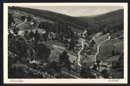 AK Euldörfel /Eulengebirge, Ortsansicht gegen das Waldgebiet