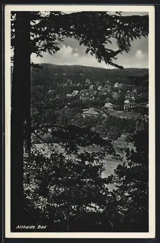 AK Bad Altheide, Ortsansicht vom Waldrand aus