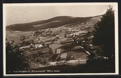 AK Grunwald, Ortsansicht mit Kirche vom Berghang aus