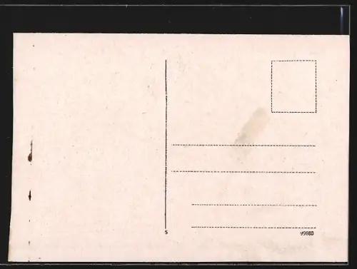 AK Swinemünde, Kurhaus, Totalansicht