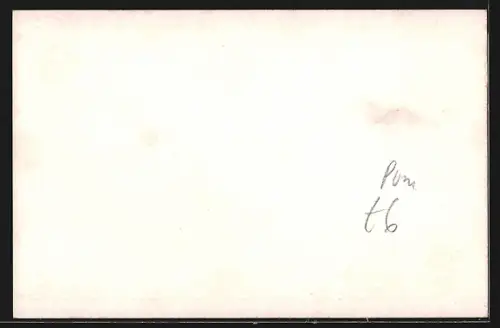 AK Stettin, Freihafen und Blick auf die Stadt, Frachtschiff und Passagierdampfer