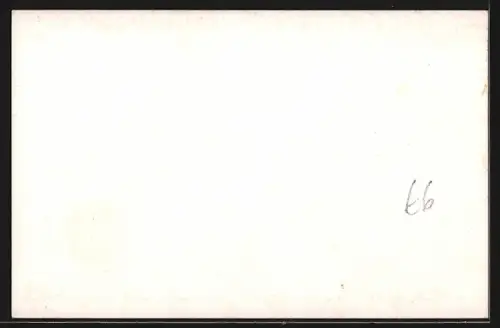 AK Stettin, Freihafen mit Blick auf das Städtische Museum, Frachtschiff und Passagierdampfer