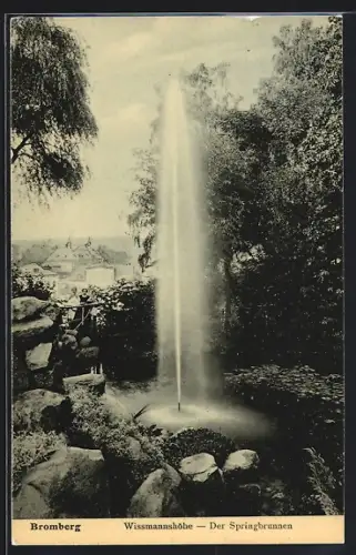 AK Bromberg, Springbrunnen auf der Wissmanshöhe