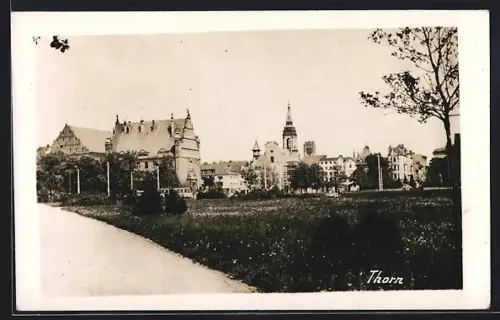 AK Thorn, Blick auf die Stadt vom Stadtrand