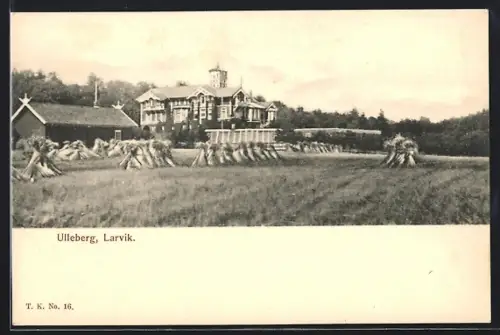 AK Ulleberg /Larvik, Ortsansicht vom Feld aus
