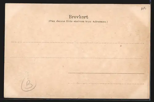 AK Nordcap, Am Fusse des Nordcap, Passagierschiff im Hintergrund