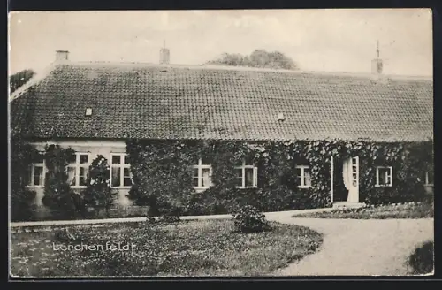 AK Lerchenfeldt, Panorama