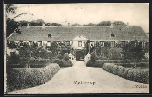 AK Mollerup, Panorama