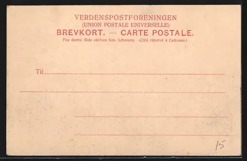 AK Vosnaesgaard, Panorama