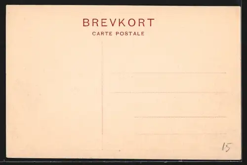 AK Vosnaesgaard, Panorama