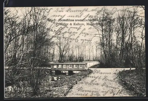 AK Aalborg, Utsigt fra Bleakilde, Reklame für Bleichseife von Müller und Kalkow, Magdeburg