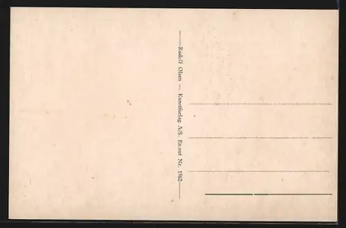 AK Aalborg, Panorama