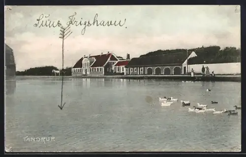 AK Trandrup, Teilansicht am Ufer