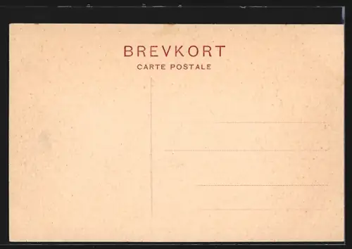 AK Frisenvold, Panorama