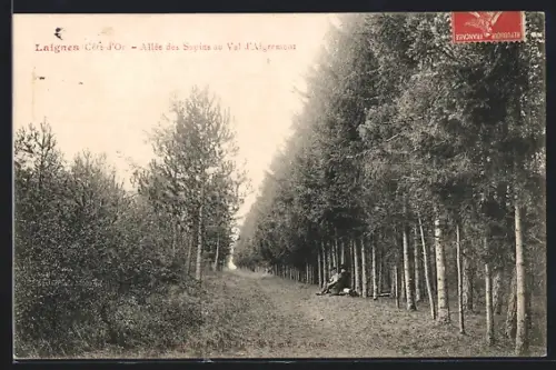AK Laignes /Côte-d`Or, Allée des Sapins au Val d`Aigremont