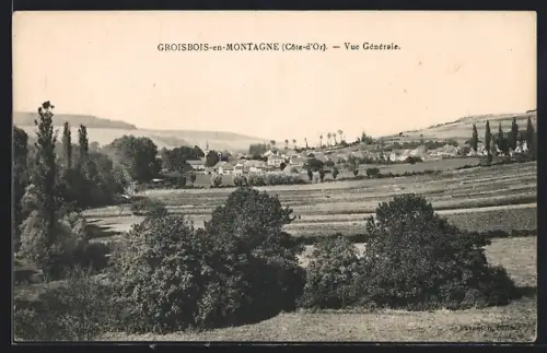 AK Grosbois-en-Montagne /Côte-d`Or, Vue Générale