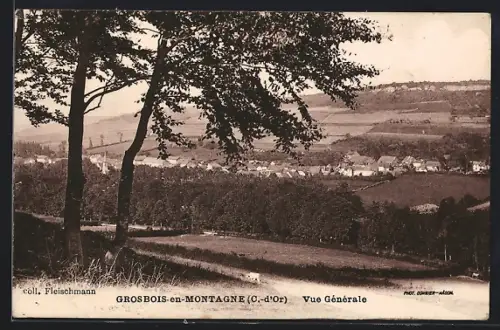 AK Grosbois-en-Montagne /Côte-d`Or, Vue Générale