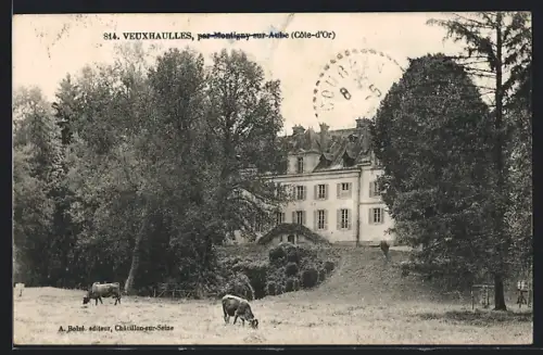 AK Veuxhaulles /Côte-d`Or, Chatelet mit Kühen