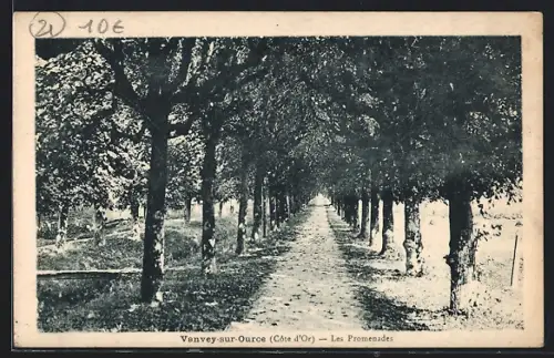 AK Vanvey-s-Ource /Côte-d`Or, Les Promenades