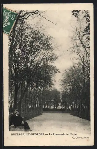 AK Nuits-Saint-Georges, La Promenade des Buttes