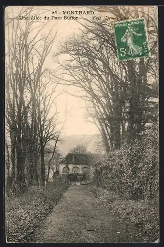 AK Montbard, Une Allée du Parc Buffon