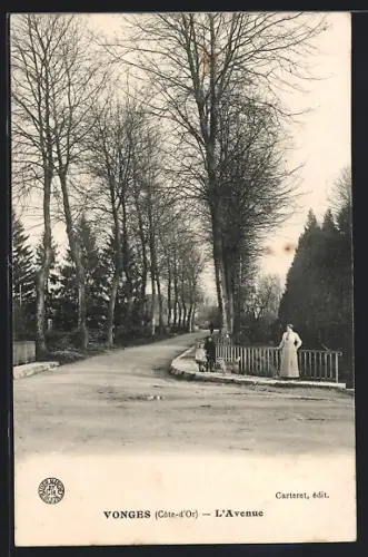 AK Vonges /Côte-d`Or, L`Avenue avec une femme sur le pont