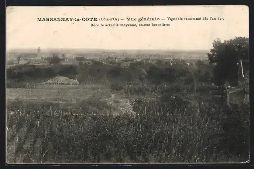 AK Marsannay-la-Côte /Côte-d`Or, Vue générale du vignoble renommé dès l`an 625