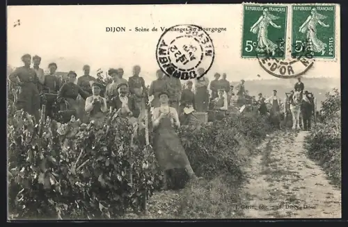 AK Dijon, Scène de Vendanges en Bourgogne