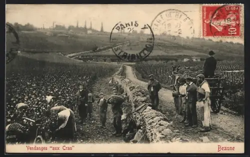 AK Beaune, Vendanges aux Cras avec vignerons et charrette