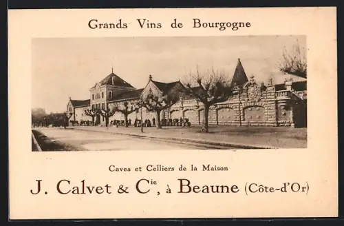 AK Beaune /Côte-d`Or, Caves et Celliers J. Calvet & Cie, Grands Vins de Bourgogne
