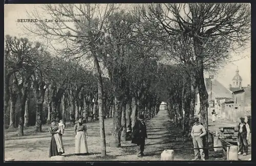 AK Seurre, Les Quinconces avec des personnes se promenant sous les arbres