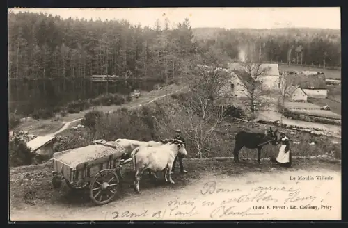 AK Le Moulin Villerin, Panorama