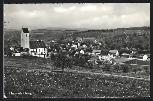 AK Herznach /Aarg., Teilansicht mit Kirche