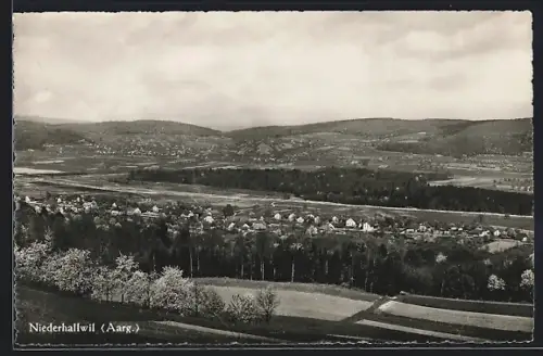 AK Hallwil /AG, Niederhallwil, Teilansicht mit Bäumen