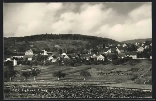 AK Egliswil /Aarg., Teilansicht mit Bäumen